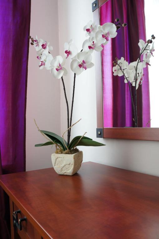 Willa Akacja Gdynia Room photo